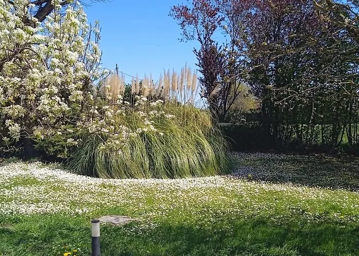 Il Quadrifoglio In Stile Vintage *