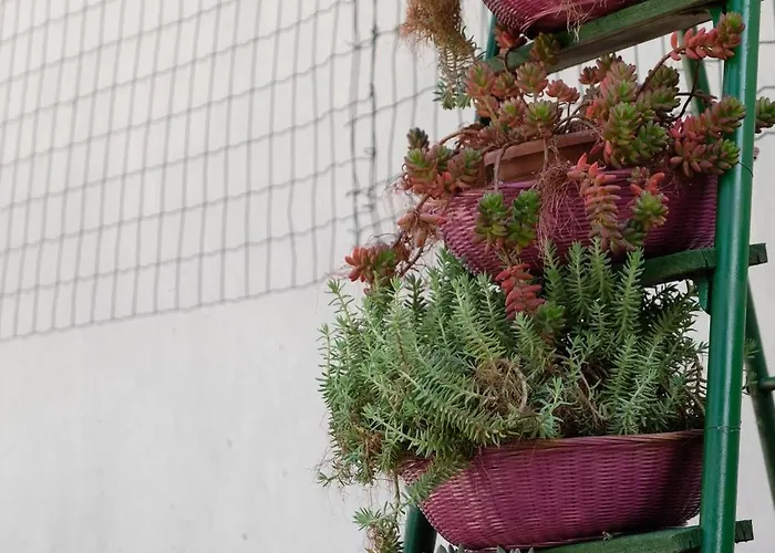 Il Quadrifoglio In Stile Vintage * Чезена