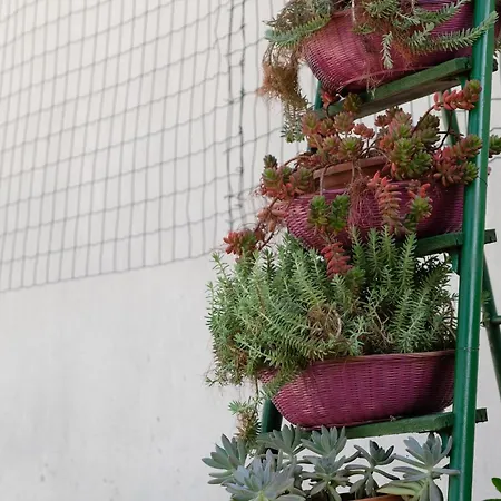 Il Quadrifoglio In Stile Vintage * Cesena